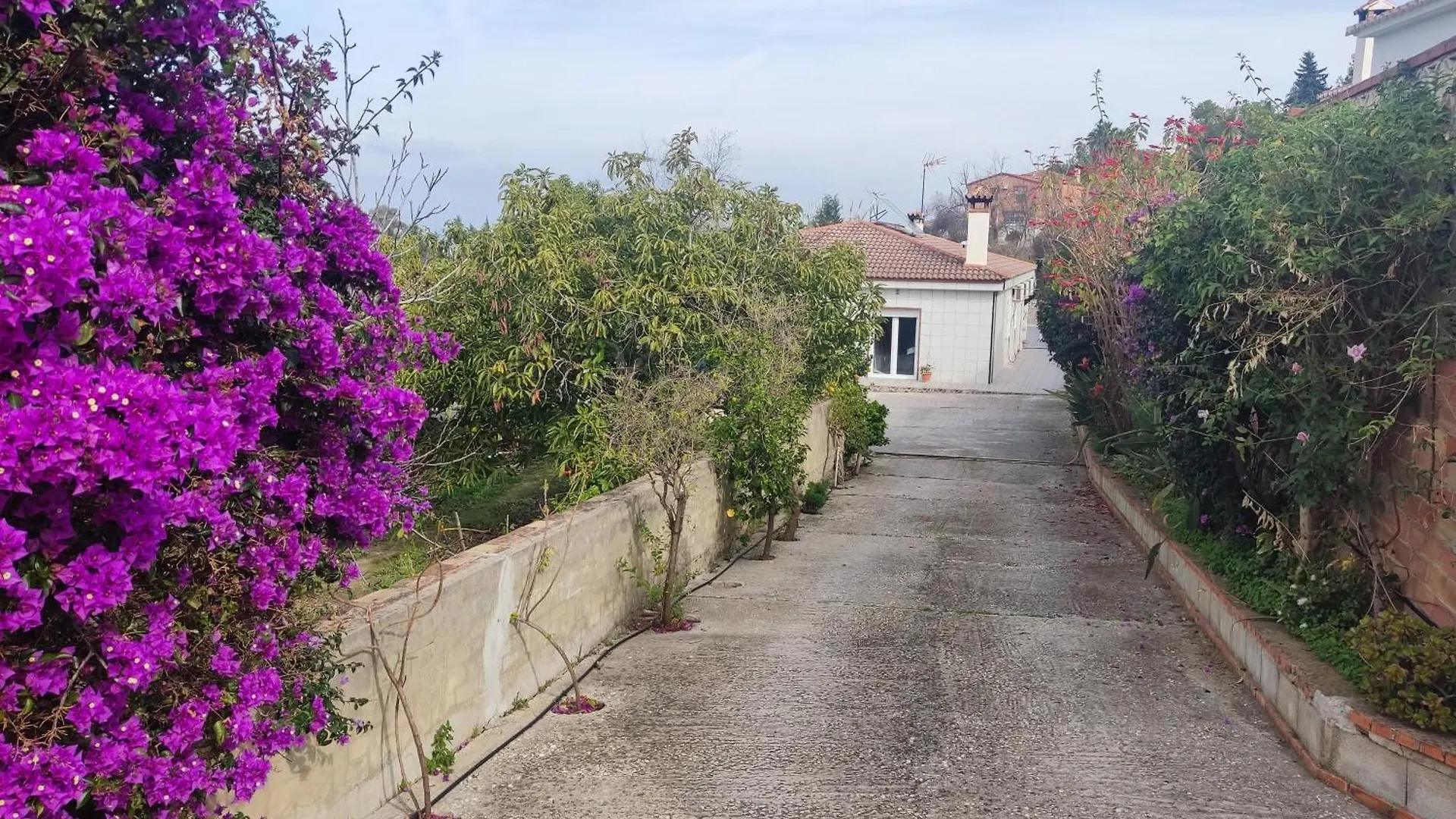 ヴィラ Finca Vista El Montanes マラガ