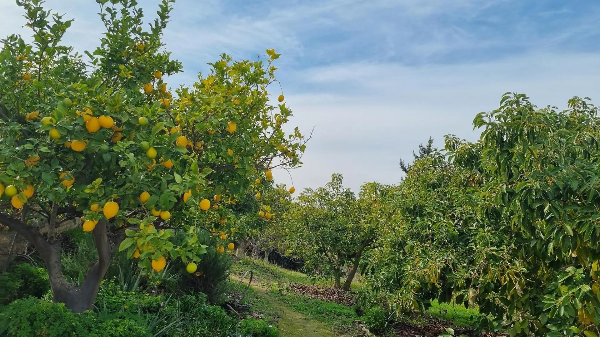 Finca Vista El Montanes マラガ 0*,  スペイン