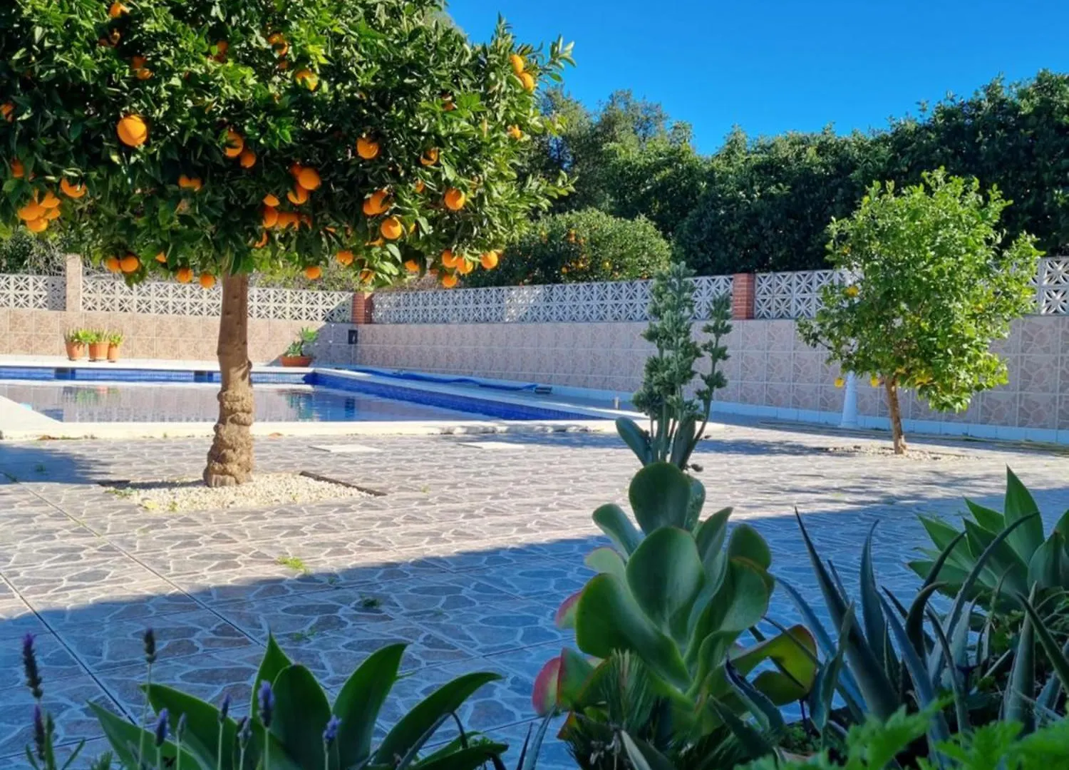 Villa Finca Vista El Montanes Málaga