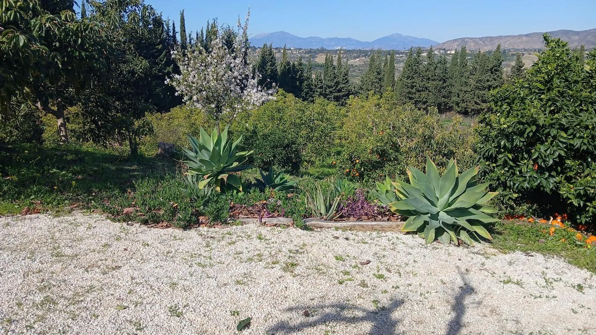 Finca Vista El Montanes Малага Испания
