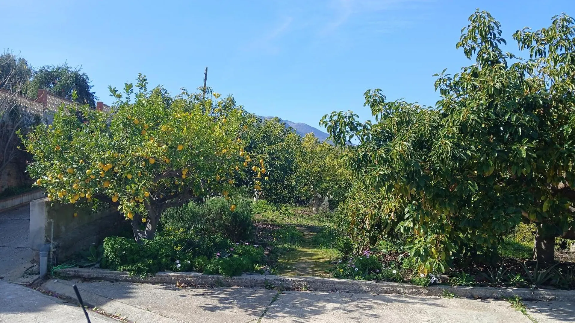 Вилла Finca Vista El Montanes Малага Испания